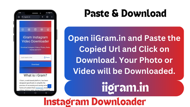 How to Download Instagram Video On Mobile Using i gram Step 3: Paste the Url and Download