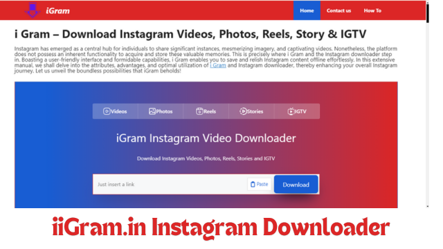 How to Download Instagram Video On Mobile Using i gram Step 2: Paste url and Download